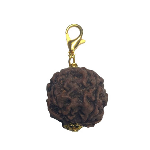 4 Mukhi Original and certified Rudraksh , Description and certificate attach (weight and size can vary )