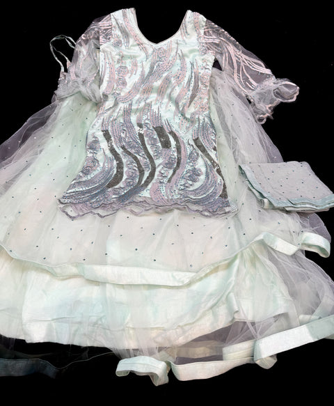 Pastel mint colour kameez with embroidery & Sequin work kameez with stone work and heavy flared netting lehnga & dupatta