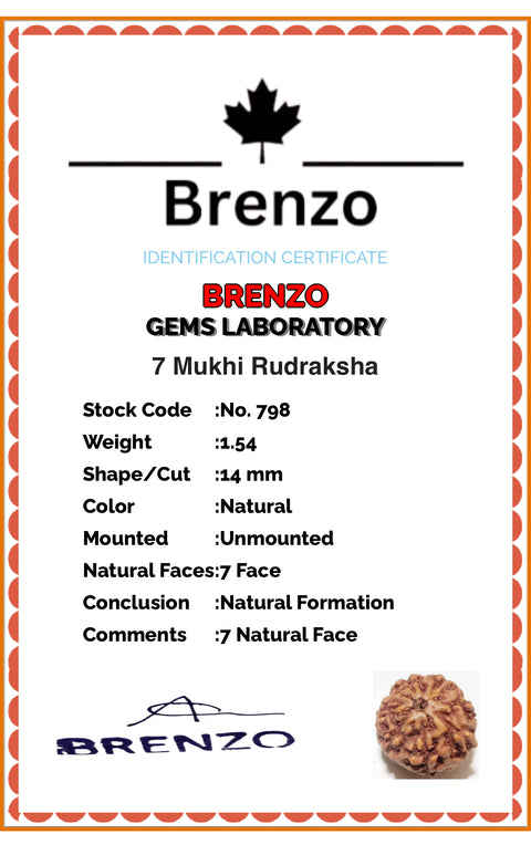 7 Mukhi Original and certified Rudraksh , Description and certificate attach( barcode can be scanned to check the certificate)