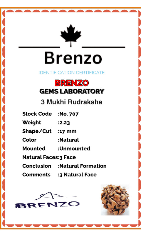 3 Mukhi Original and certified Rudraksh , Description and certificate attach( barcode can be scanned to check the certificate)