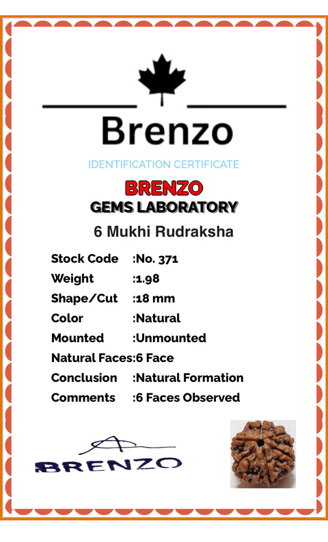 6 Mukhi Original and certified Rudraksh , Description and certificate attach( barcode can be scanned to check the certificate)