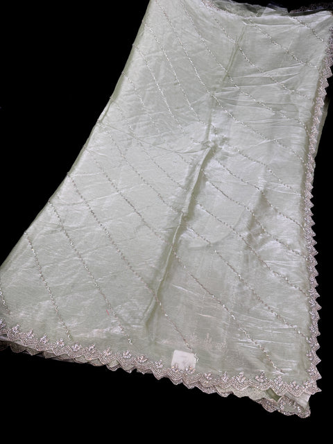 Pastel shades Jimmy Choo base fabric With Beautiful handwork all over on Saree and border