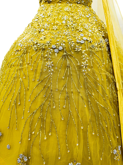 Engagement /Party Wear Designer Ball gown Netting Based Beautiful embroidery with Mirror & Stone Work