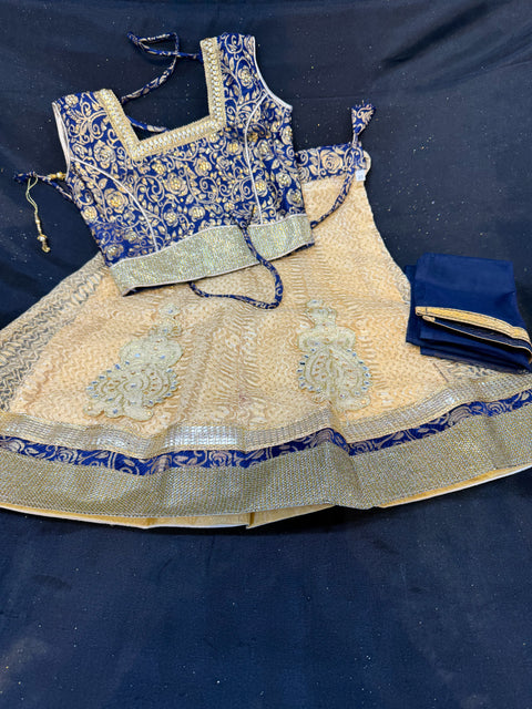 Brocade silk blouse with netting lehnga & netting dupatta