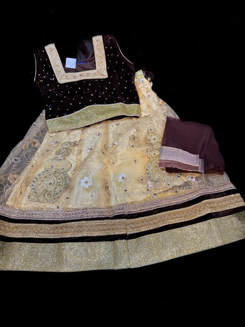 Dark brown colour velvet blouse with stone work ,netting golden colour lehnga & netting dupatta