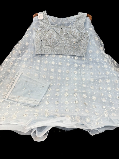 Netting based embroidery with hand work crop top designer blouse with lehnga and netting dupatta