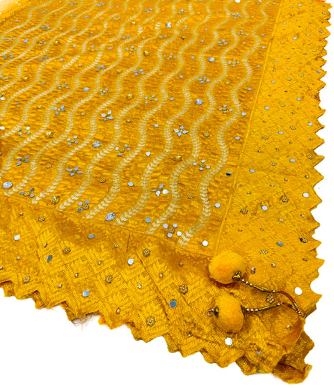 Pure chiffon based very Heavy work Phulkari dupatta all over stone work and mirror