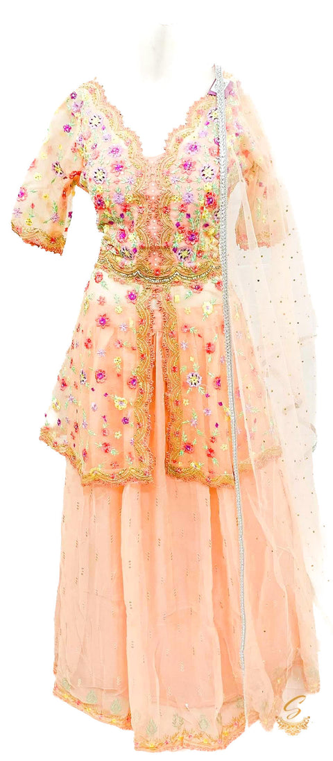 Netting based heavy sequined work with beautiful embroidery & heavy netting dupatta with georgette Lehnga