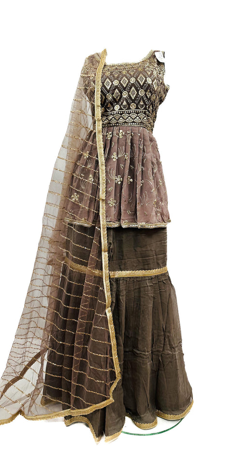 Georgette Based All Over Heavy Embroidery Work Sharara