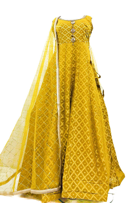 Chiffon based Brocade silk design Gown