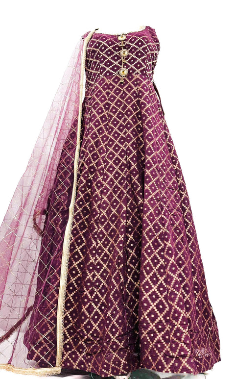 Chiffon based Brocade silk design Gown