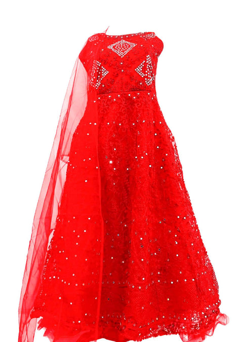 Mirror Work With Embroidery Work Netting Gown