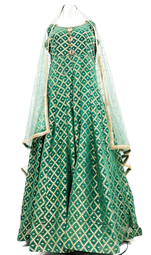 Chiffon based Brocade silk design Gown
