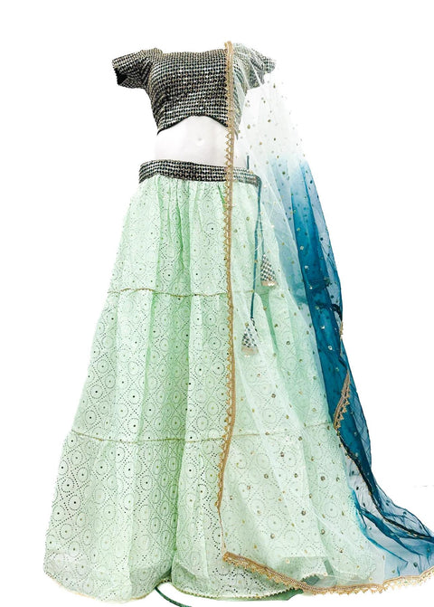 Pure Georgette Based Beautiful sequined & embroidered Work Crop Top & Lehnga