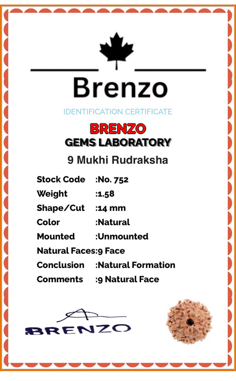 9 Mukhi Original and certified Rudraksh , Description and certificate attach( barcode can be scanned to check the certificate)