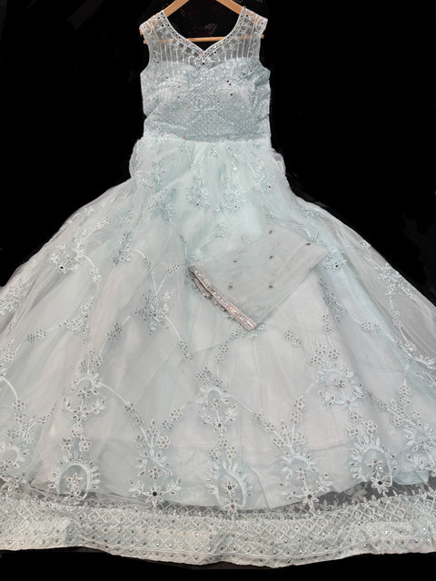 Netting Based heavy design mirror work With pearls & embroidery Work at front and back Designer Flared Kameez /Gown And netting Based Embroidery Work Dupatta(sleeves fabric attached inside )