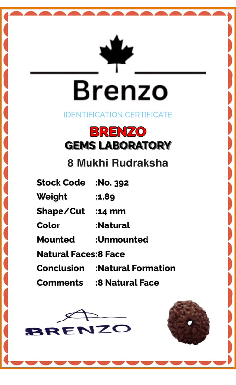 8 Mukhi Original and certified Rudraksh , Description and certificate attach( barcode can be scanned to check the certificate)