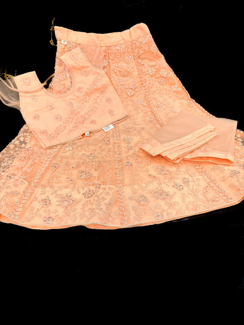 Pastel Peach colour netting based embroidery with stone work all over on lehnga & blouse with netting embroidered dupatta