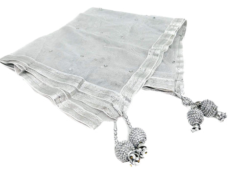 Netting based stone work with Tessels attach Dupatta