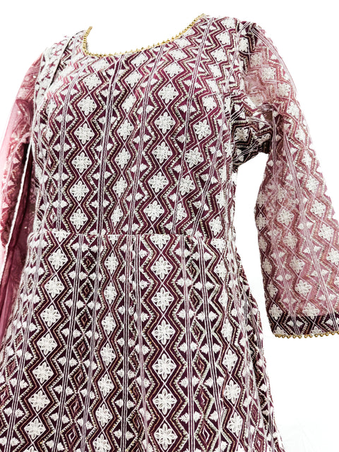 Netting based lakhnavi work with sequins design Heavy Ken ken designer gown netting dupatta( video clip attached for reference )