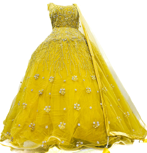 Engagement /Party Wear Designer Ball gown Netting Based Beautiful embroidery with Mirror & Stone Work