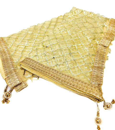 Netting based stone work with Tessels attach Dupatta