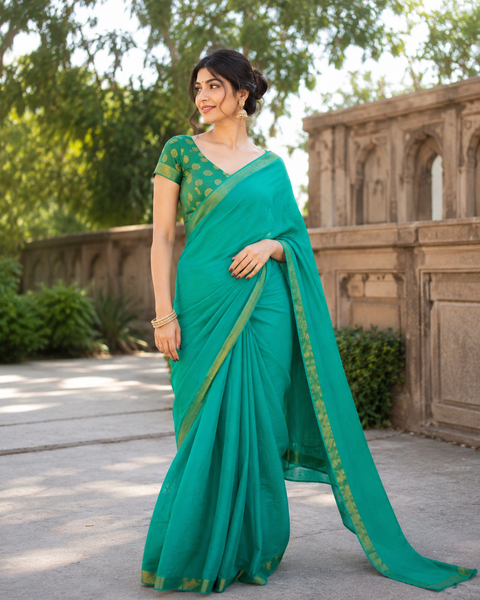 Georgette base all over sequined work beautiful saree with embroidery border and ready made embroidery work designer blouse (size 40 and can be altered upto 42)(slight variation in color and design is possible)