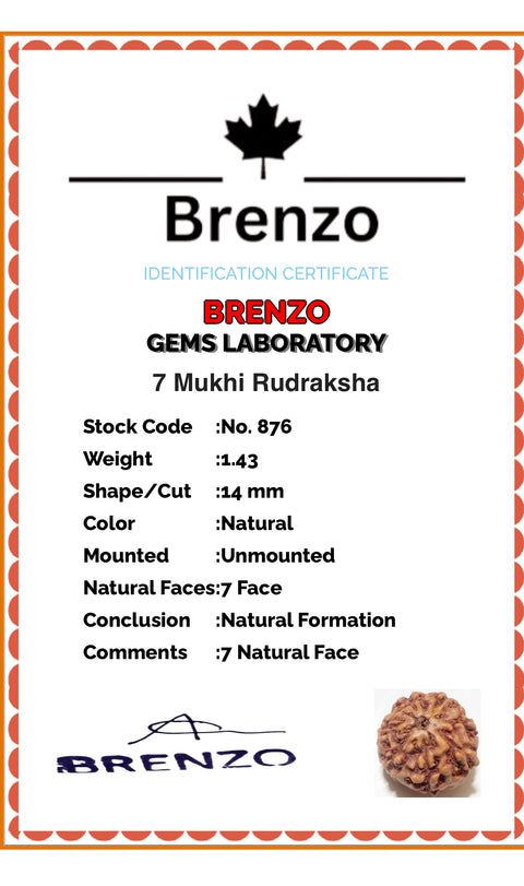 7 Mukhi Original and certified Rudraksh , Description and certificate attach( barcode can be scanned to check the certificate)