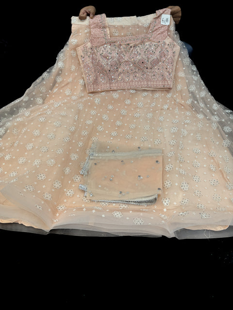 Netting based embroidery with hand work crop top designer blouse with lehnga and netting dupatta