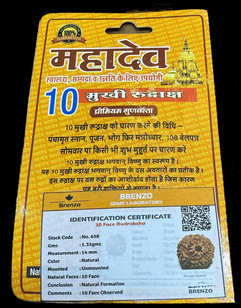 10 Mukhi Original and certified Rudraksh , Description and certificate attach( barcode can be scanned to check the certificate)