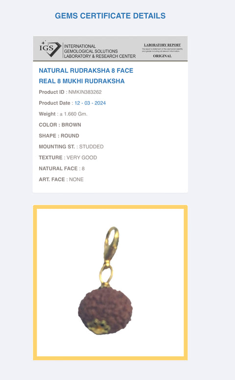 8 Mukhi Original and certified Rudraksh , Description and certificate attach