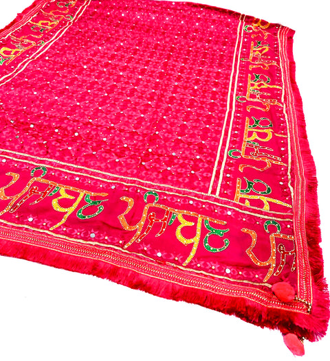 Punjaban written with embroidery chiffon based Heavy work Phulkari dupatta all over stone work and mirror