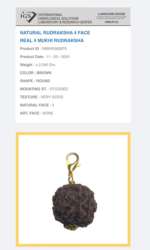 4 Mukhi Original and certified Rudraksh , Description and certificate attach (weight and size can vary )