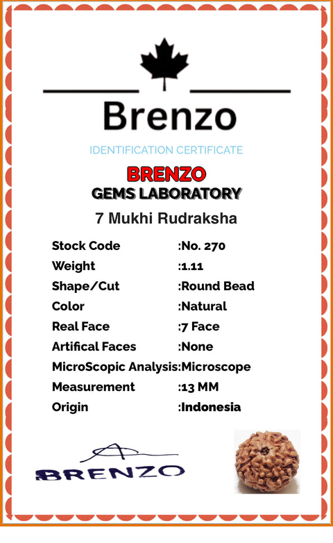 7 Mukhi Original and certified Rudraksh , Description and certificate attach( barcode can be scanned to check the certificate)