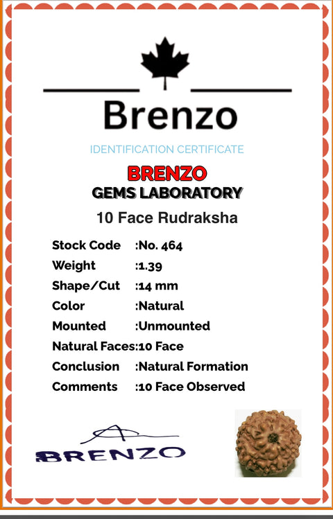 10 Mukhi Original and certified Rudraksh , Description and certificate attach( barcode can be scanned to check the certificate)