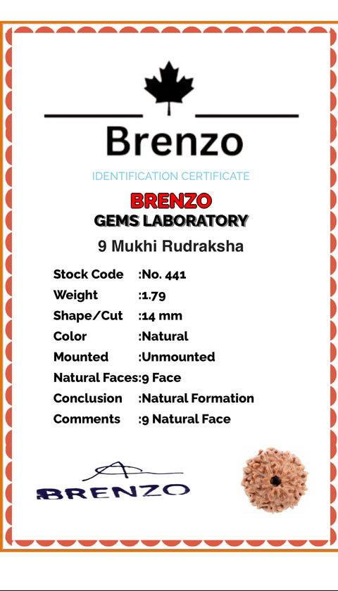 9 Mukhi Original and certified Rudraksh , Description and certificate attach( barcode can be scanned to check the certificate)
