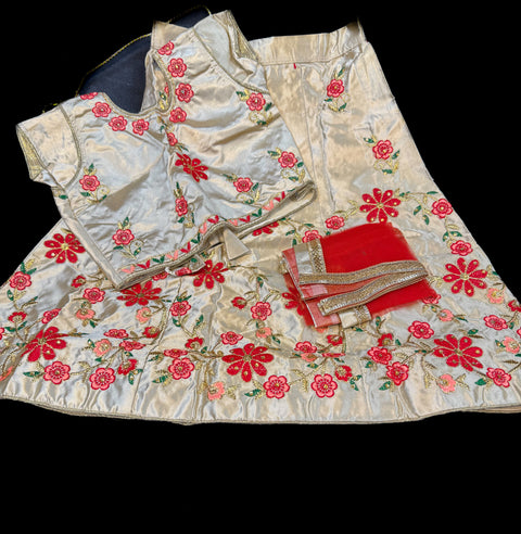 Beige & Red Colour Silk Based Embroidered Lehnga With Contrast Netting Dupatta
