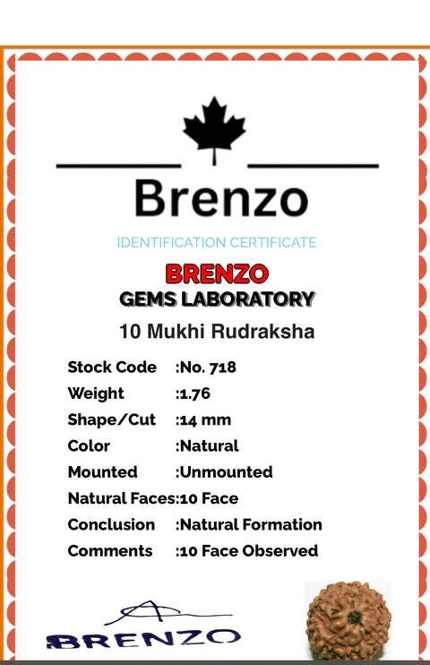 10 Mukhi Original and certified Rudraksh , Description and certificate attach( barcode can be scanned to check the certificate)
