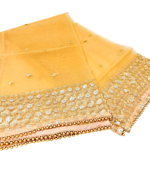 Netting based stone work with beaded lace attach Dupatta