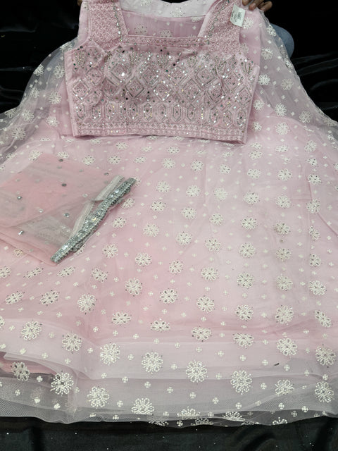 Netting based embroidery with hand work crop top designer blouse with lehnga and netting dupatta