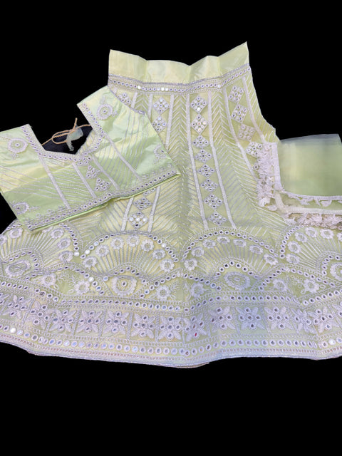 Pastel Lime color Netting embroidery work lehnga with embroidery work beautiful Blouse and dupatta