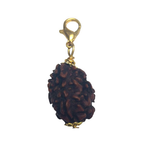 3 Mukhi Original and certified Rudraksh , Description and certificate attach (weight and size can vary )