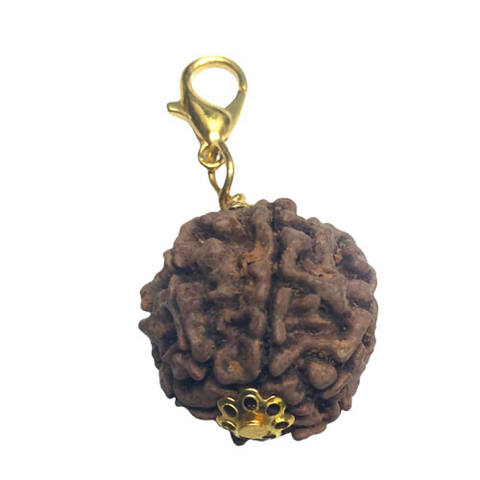 6 Mukhi Original and certified Rudraksh , Description and certificate attach (Weight and size may vary )