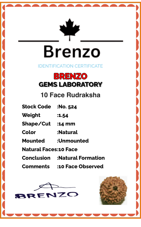 10 Mukhi Original and certified Rudraksh , Description and certificate attach( barcode can be scanned to check the certificate)