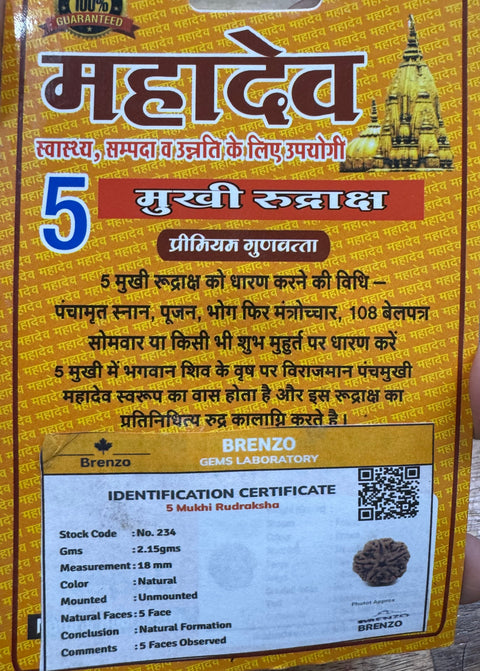 5 Mukhi Original and certified Rudraksh , Description and certificate attach( barcode can be scanned to check the certificate)