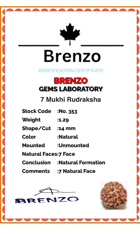7 Mukhi Original and certified Rudraksh , Description and certificate attach( barcode can be scanned to check the certificate)