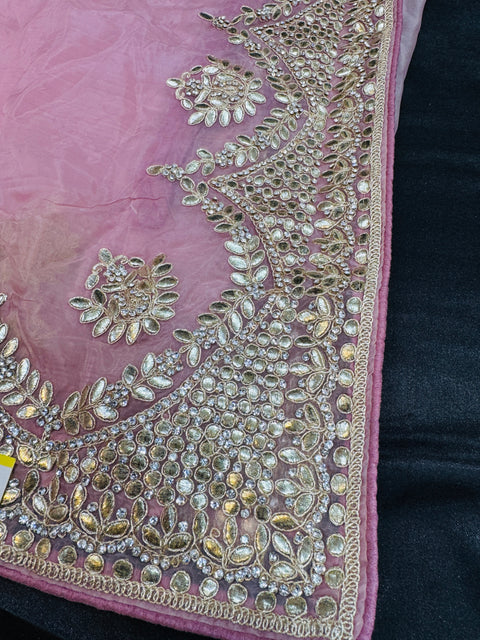Pure and very soft organza Georgette  based embroidery work jaal all over with stone work & gotta patti beautiful Saree