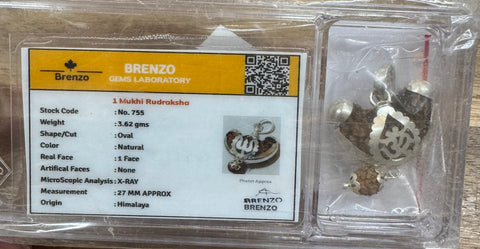 1 Mukhi Original and certified Rudraksh , Description and certificate attach( barcode can be scanned to check the certificate)