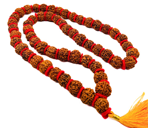 Big Rudraksh beads 18 mm size Mala