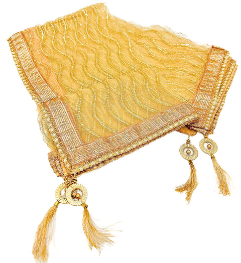 Netting based stone work with Tessels attach Dupatta